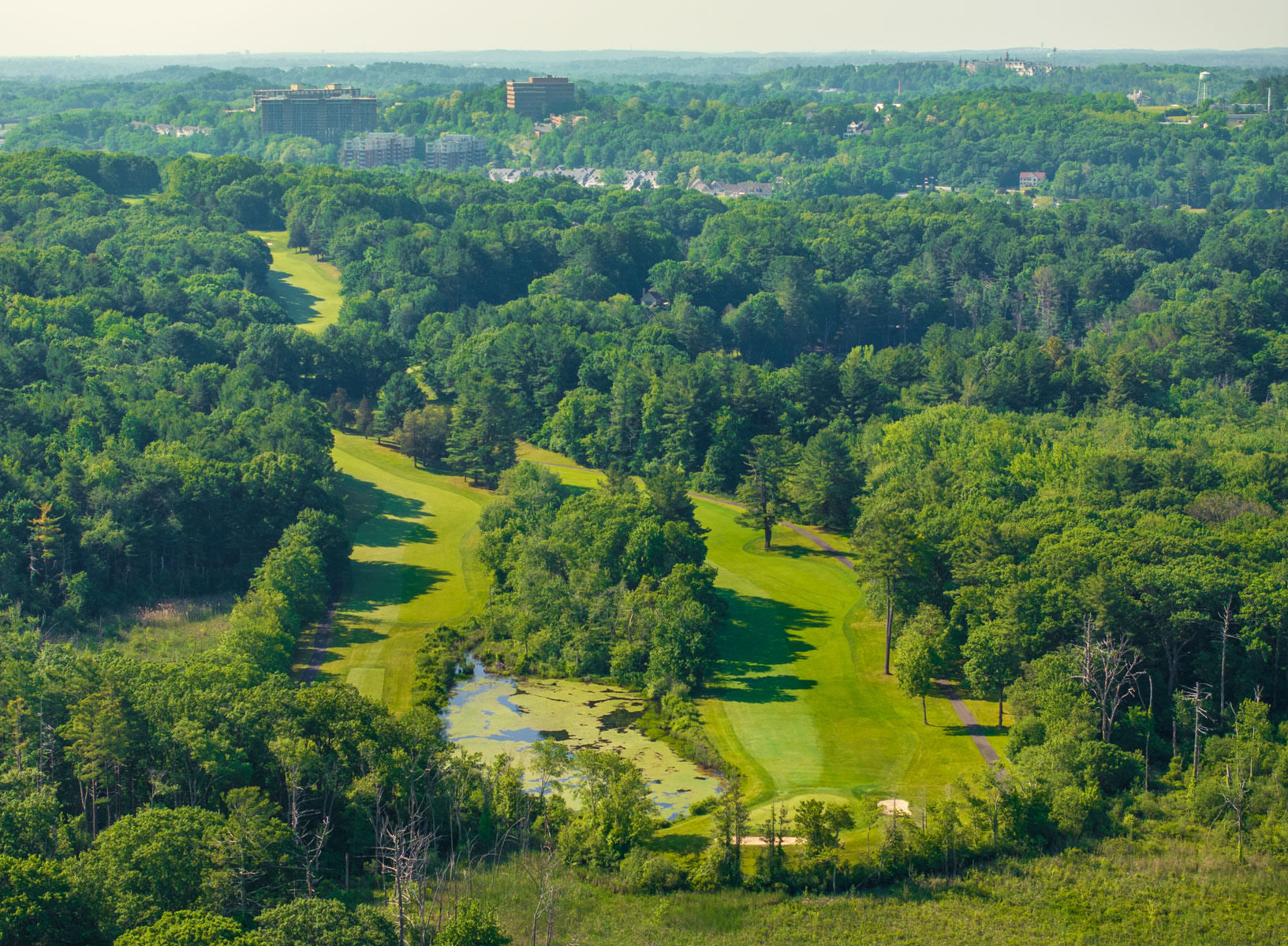 golf course